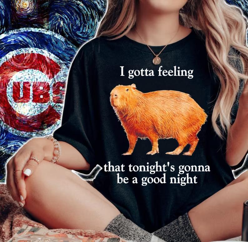 I gotta feeling that tonight's gonna be a good night shirt t-shirt woman shirt