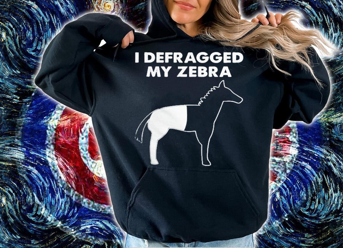 I Defragged My Zebra Shirt hoodie